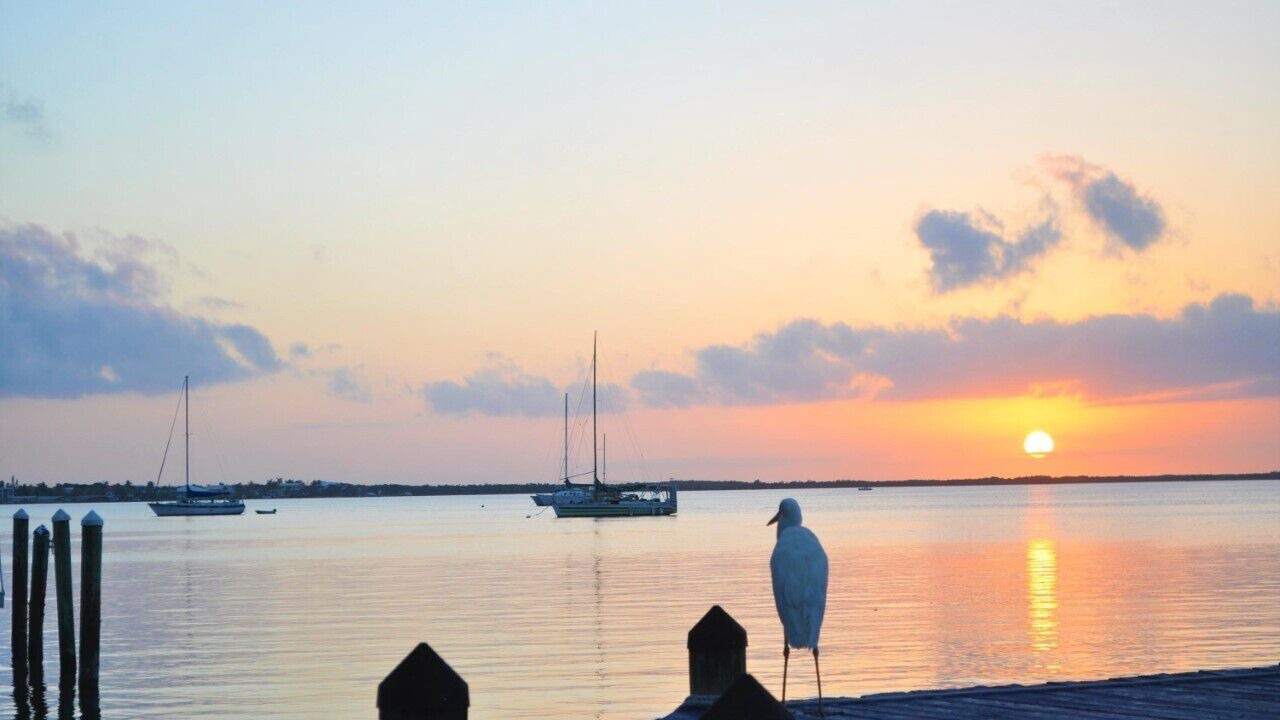 Photo of Others in Key Largo