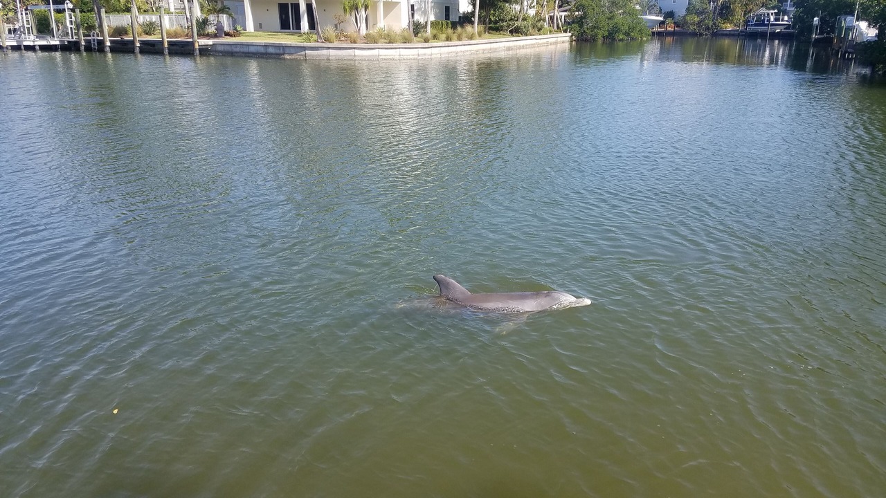 Photo of Others in Sanibel Isles
