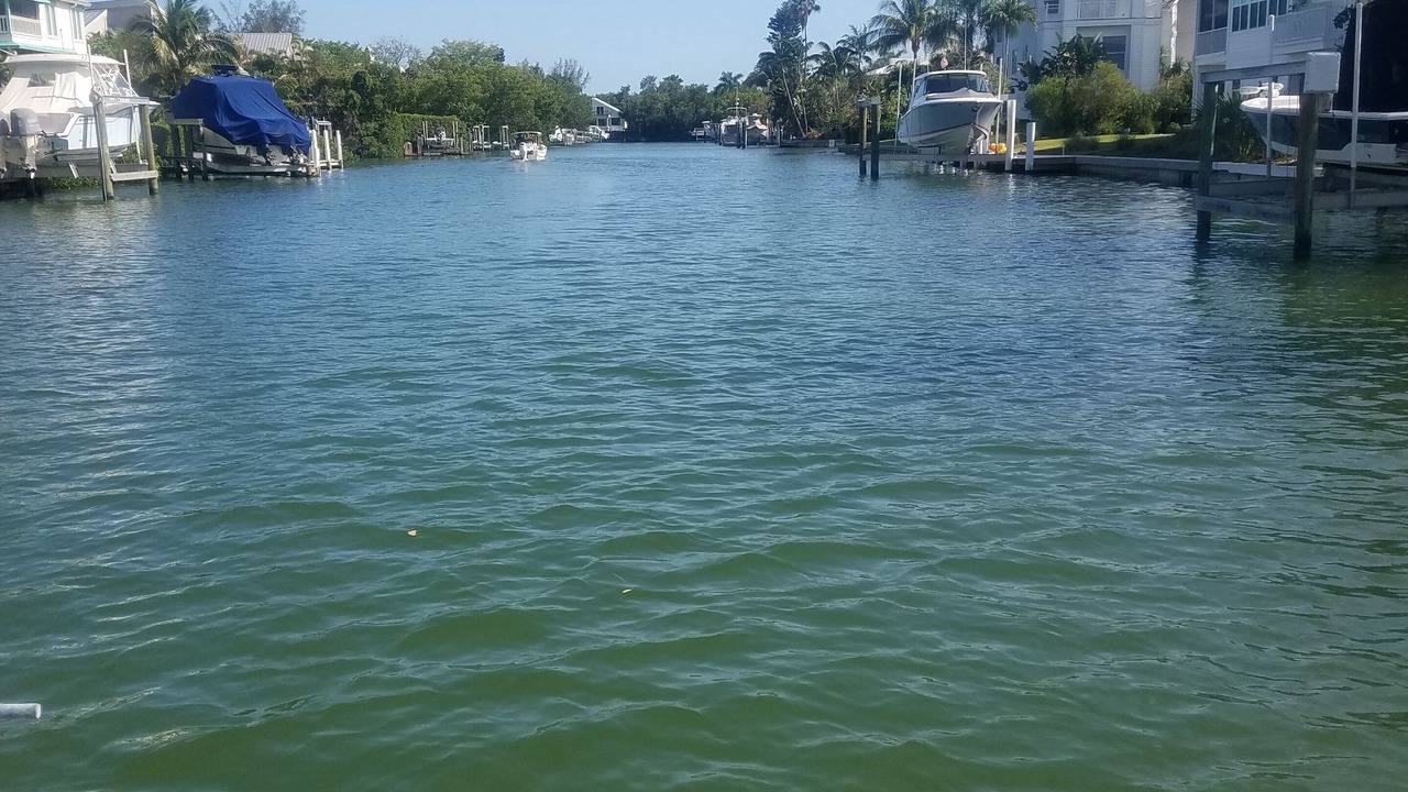 Photo of Others in Sanibel Isles