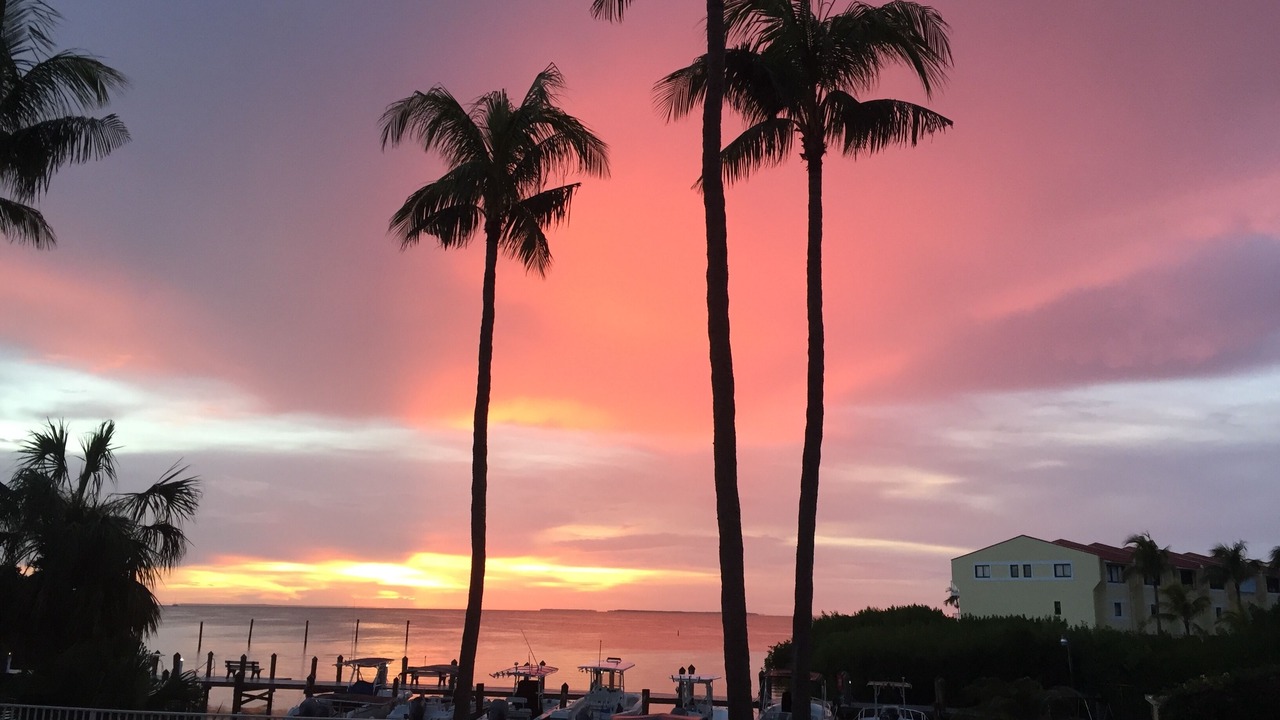 Photo of Others in Islamorada