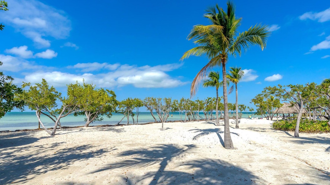 Photo of Others in Islamorada