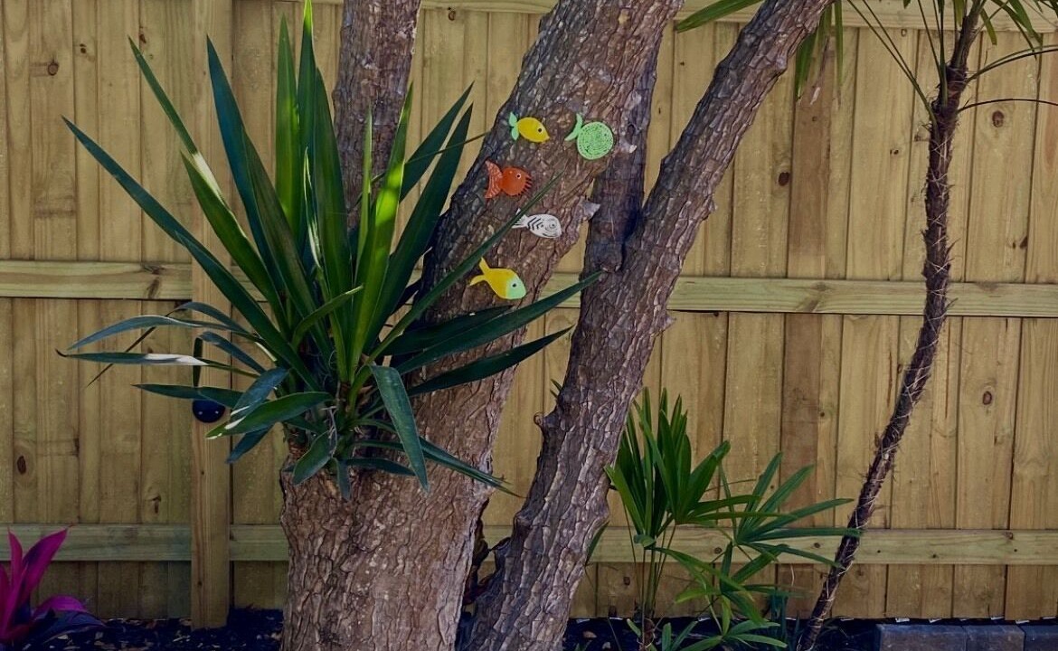 Photo of Outdoor in Gulfport