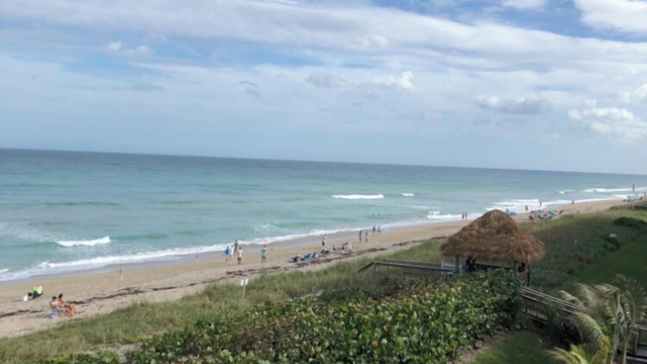 Photo of Others in Hutchinson Island South