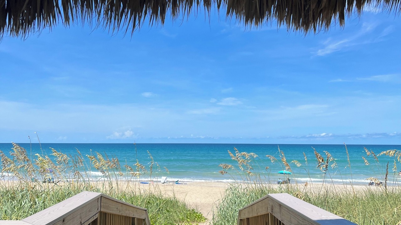 Photo of Others in Hutchinson Island South