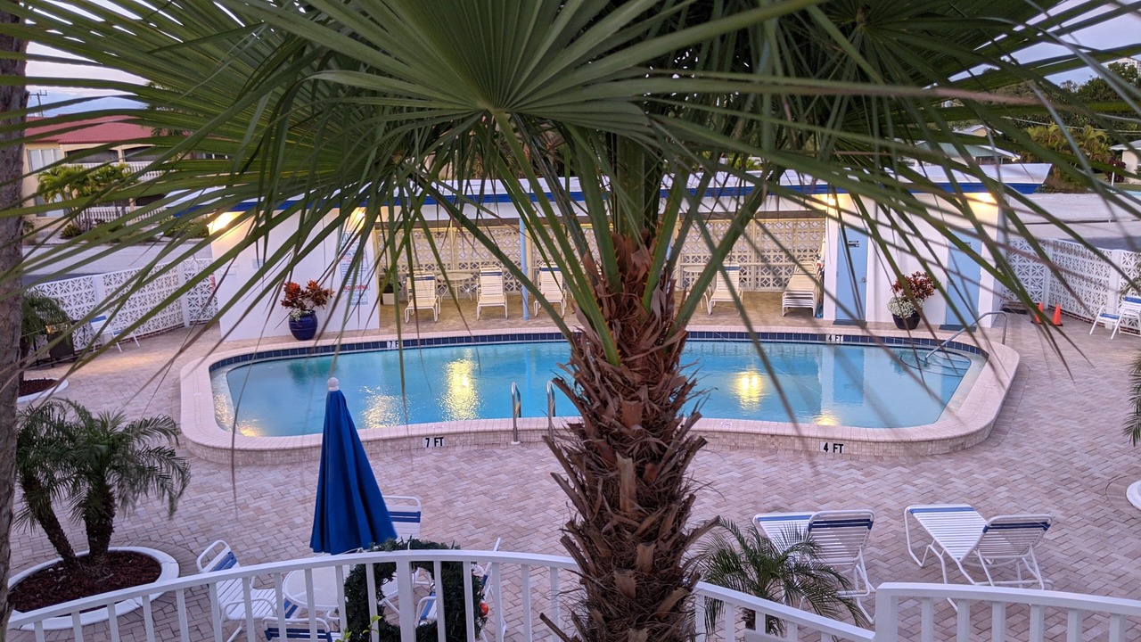 Photo of Outdoor in Sarasota