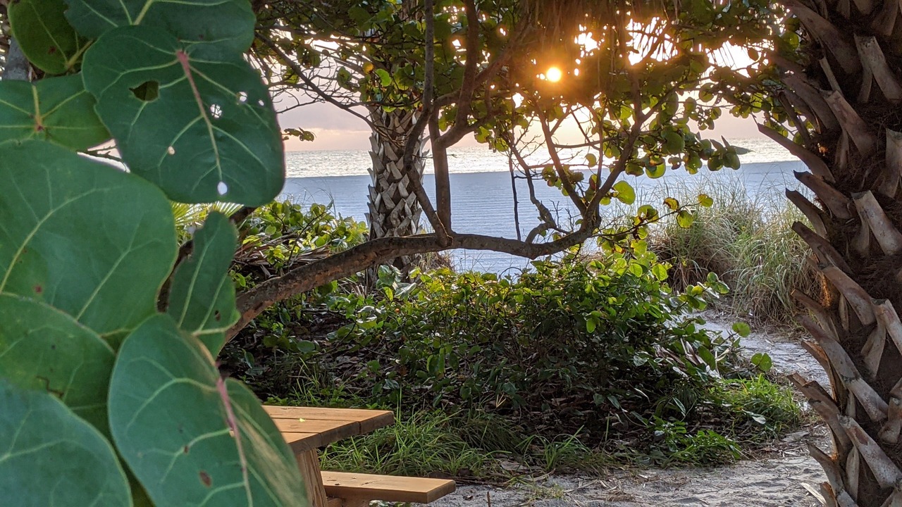 Photo of Outdoor in Sarasota