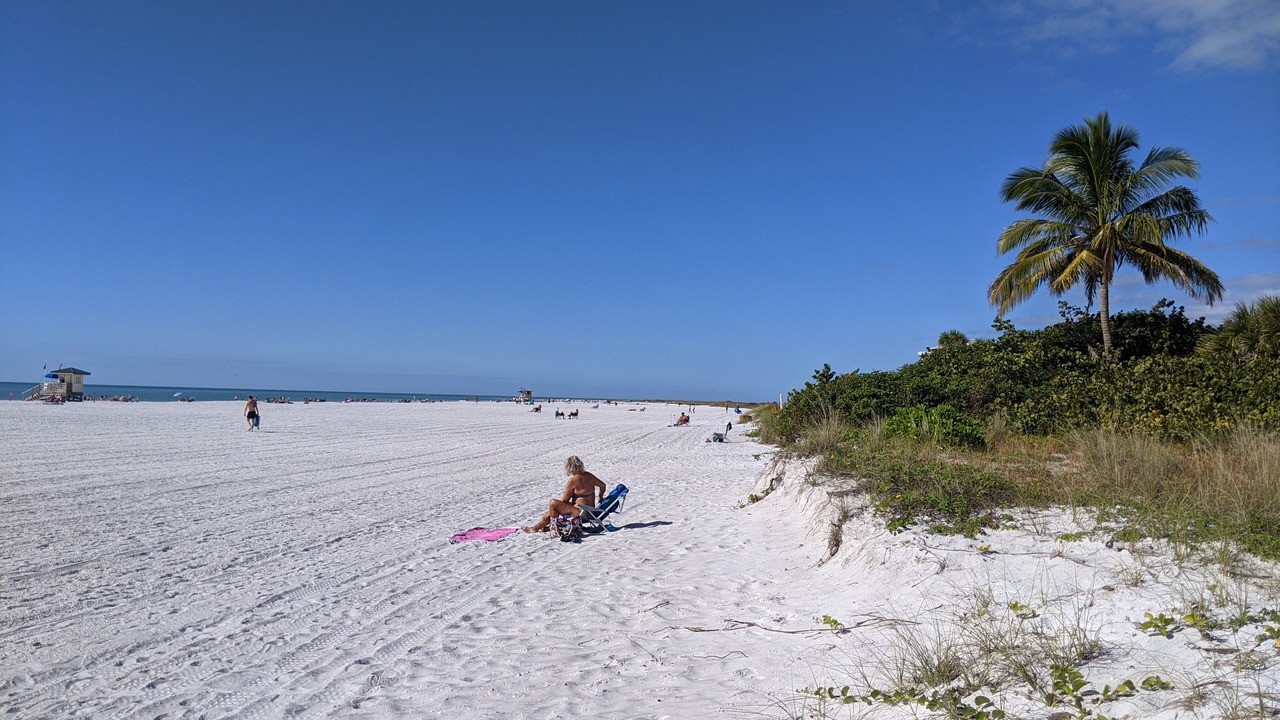 Photo of Others in Sarasota