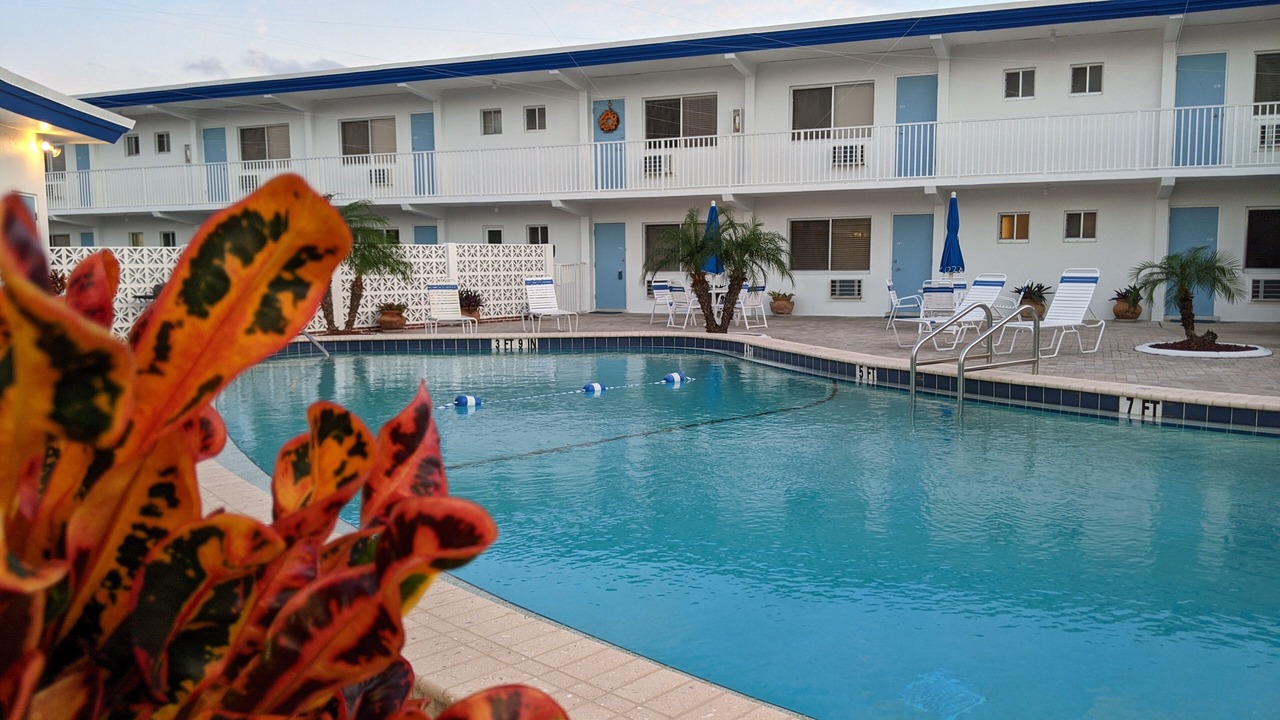 Photo of Outdoor in Sarasota