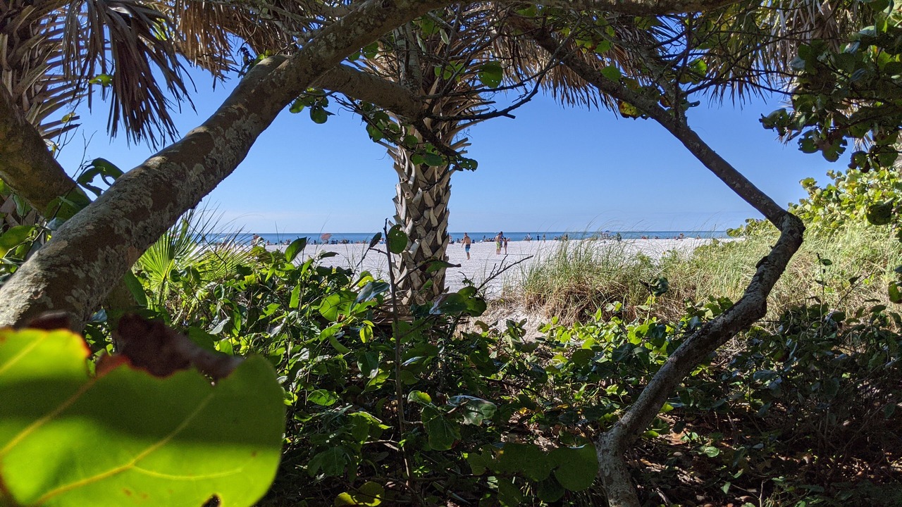 Photo of Others in Sarasota