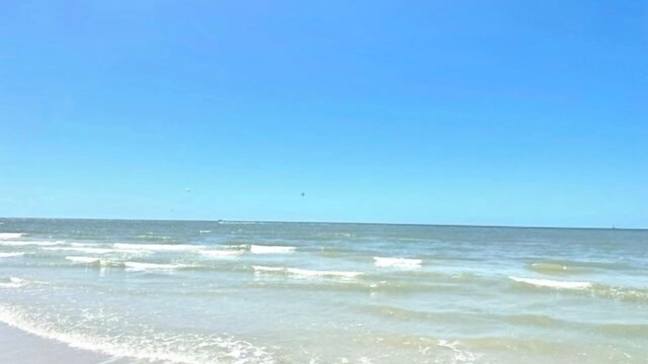 Photo of Others in Fort Myers Beach