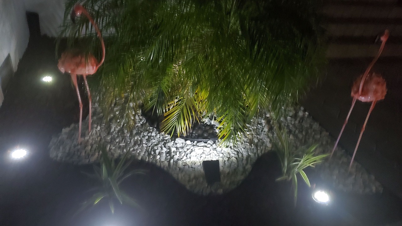 Photo of Outdoor in Marco Island
