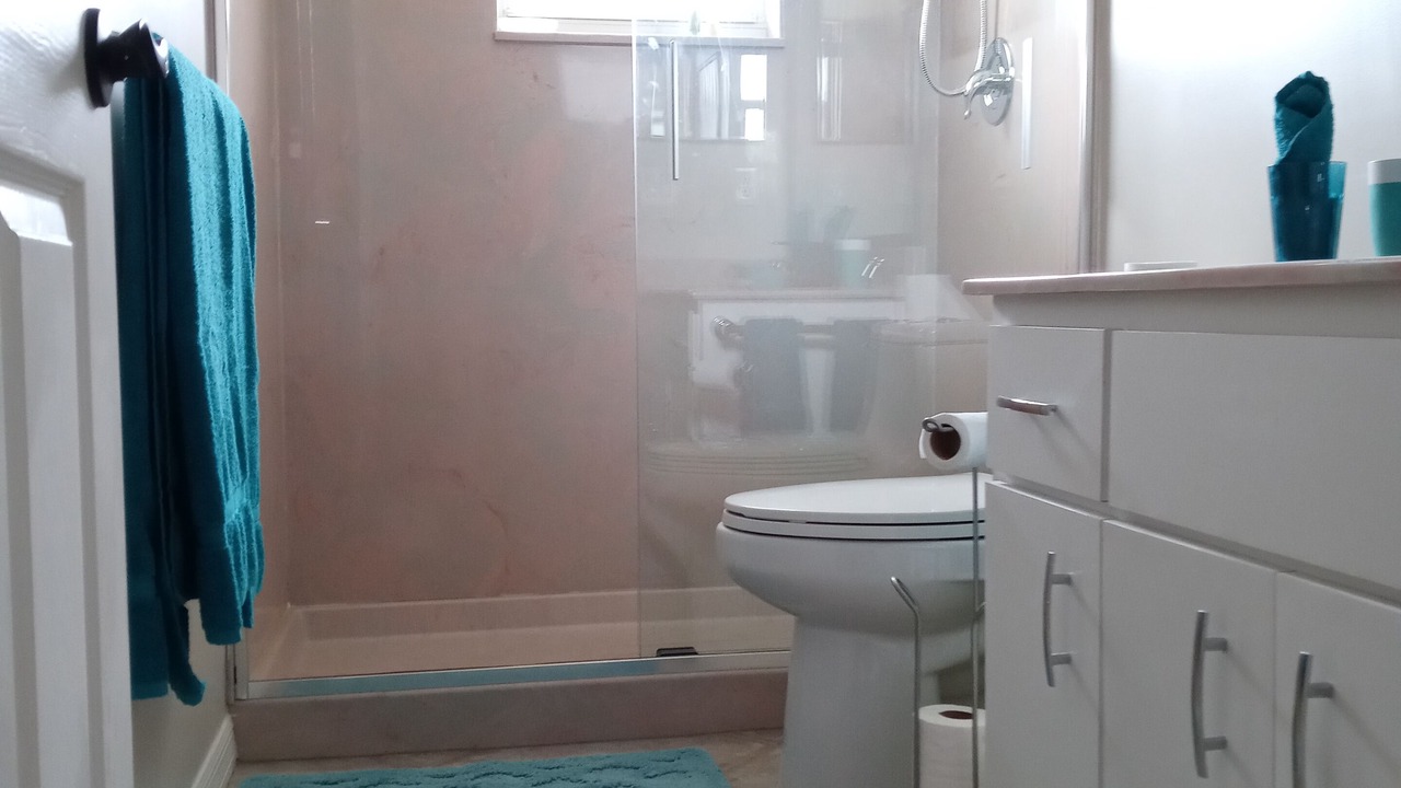 Photo of Bathroom in Joel