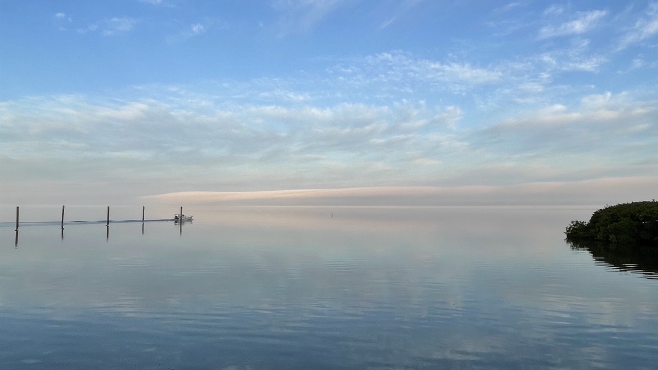 Photo of Others in Islamorada