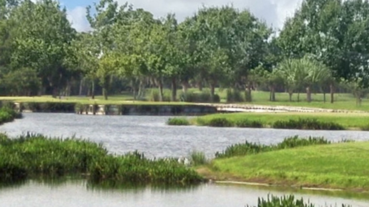 Photo of Others in Braden River
