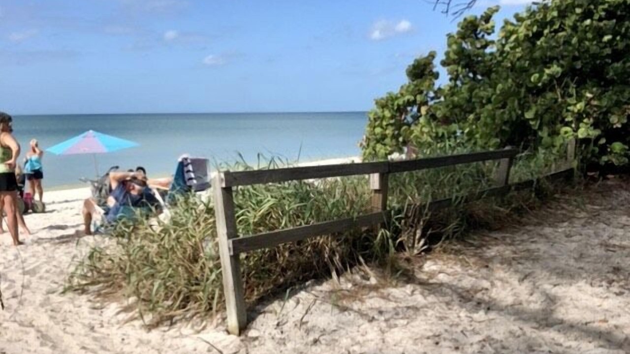 Photo of Others in Everglades City