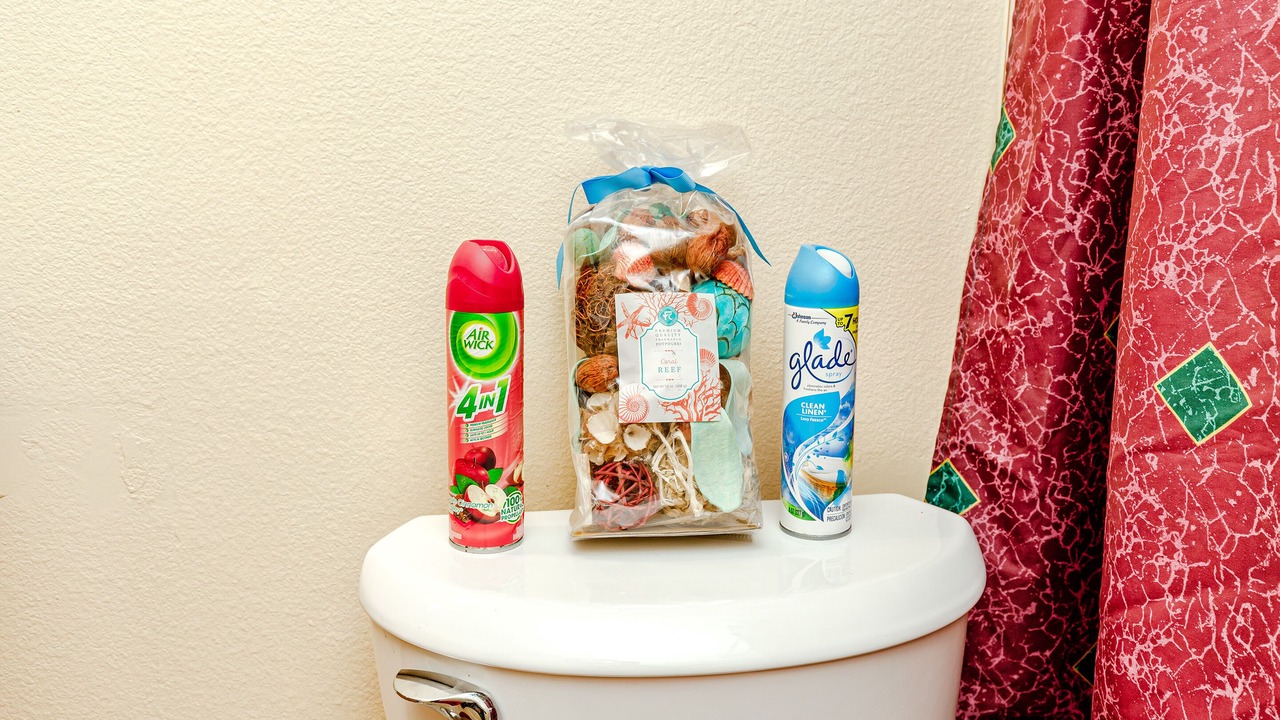 Photo of Bathroom in Palm Harbor