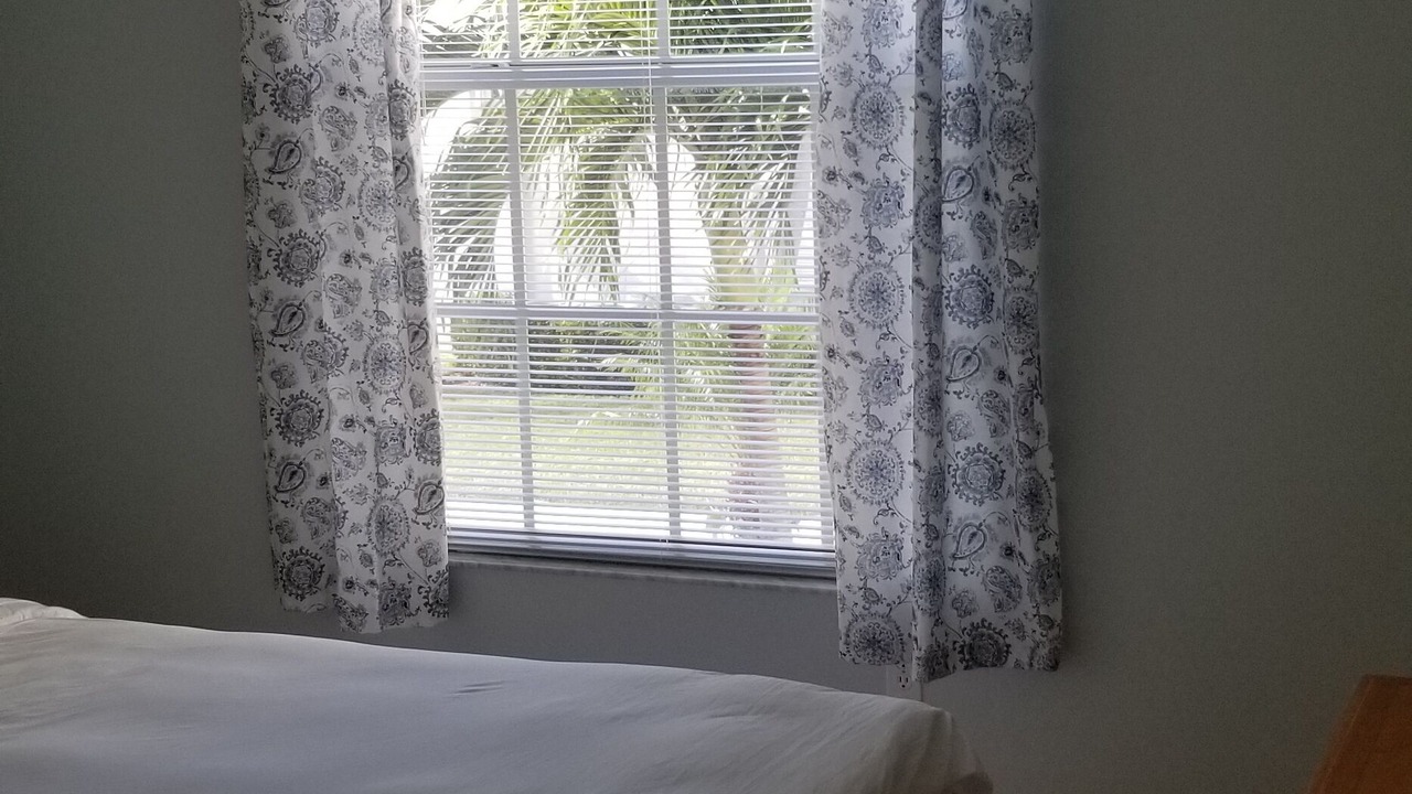 Photo of Outdoor in Naples