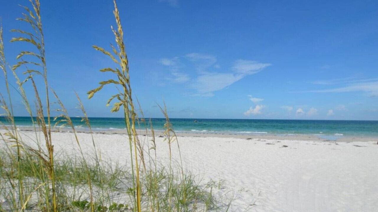 Photo of Others in Sarasota