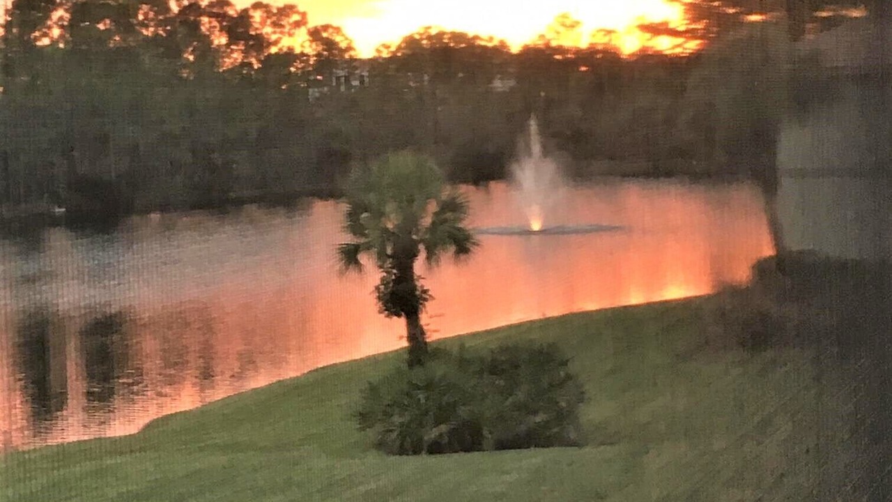 Photo of Others in Imperial Golf Estates