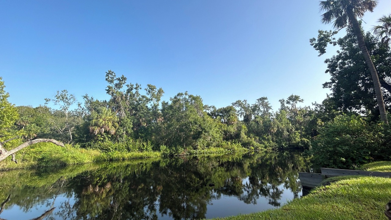 Photo of Outdoor in Ruskin