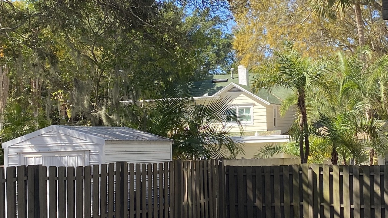 Photo of Outdoor in Dunedin