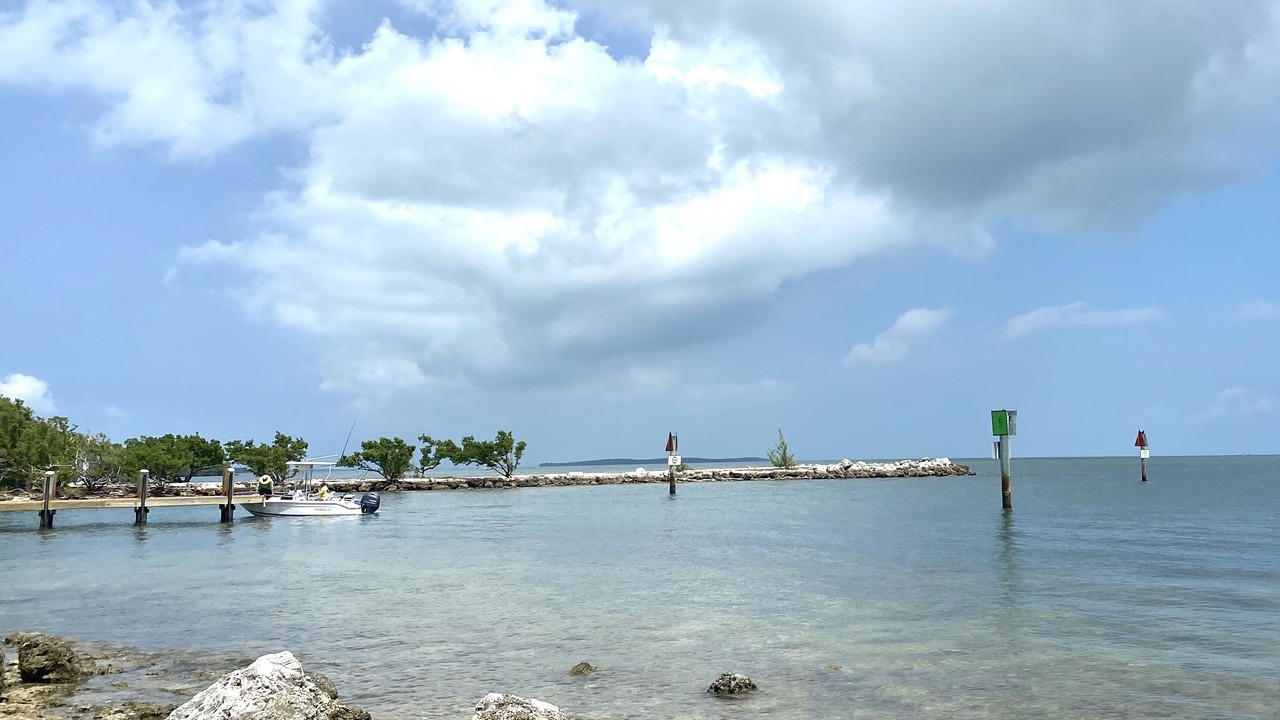 Photo of Others in Tavernier