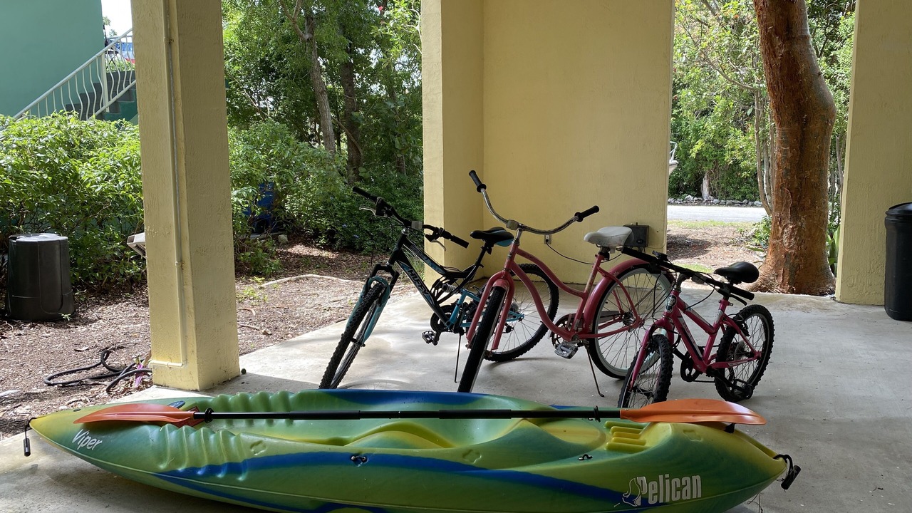 Photo of Outdoor in Tavernier