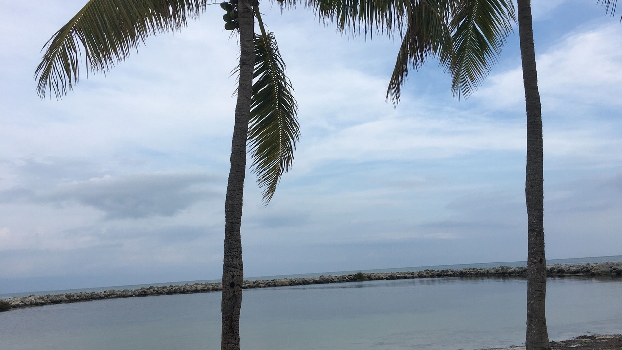 Photo of Others in Tavernier