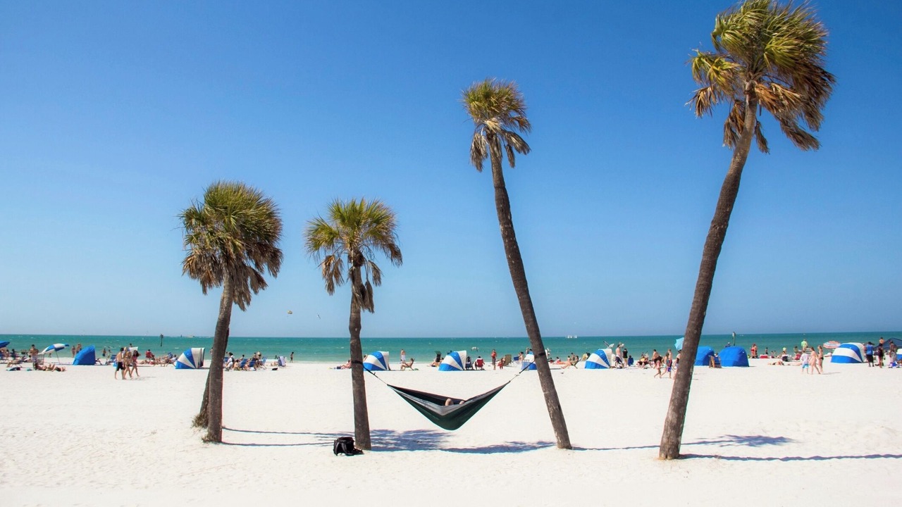 Photo of Others in Clearwater Beach