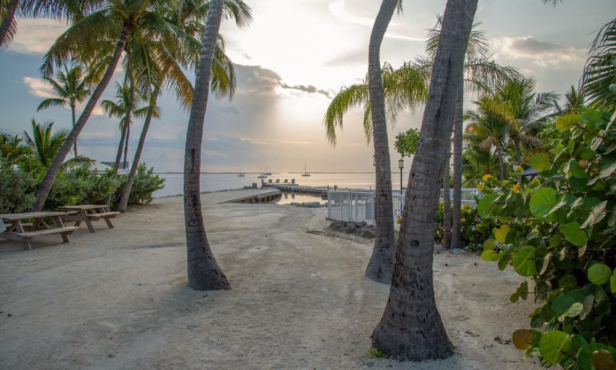 Photo of Others in Key Largo