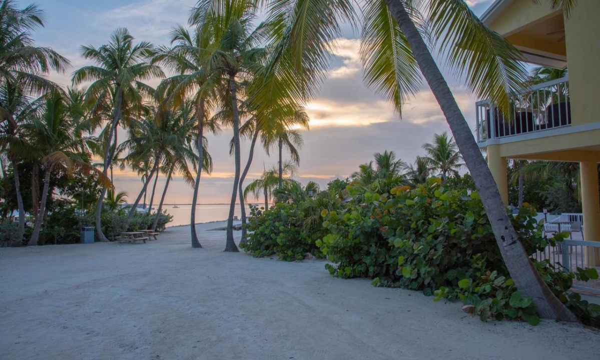 Photo of Others in Key Largo