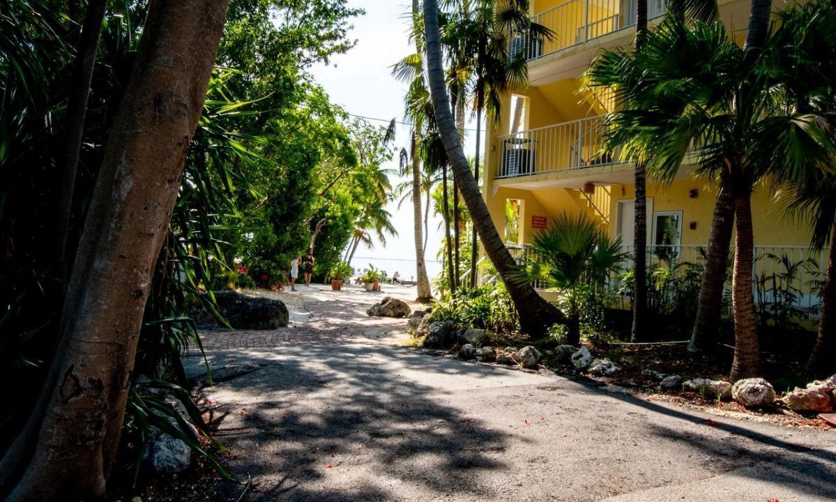 Photo of Outdoor in Key Largo