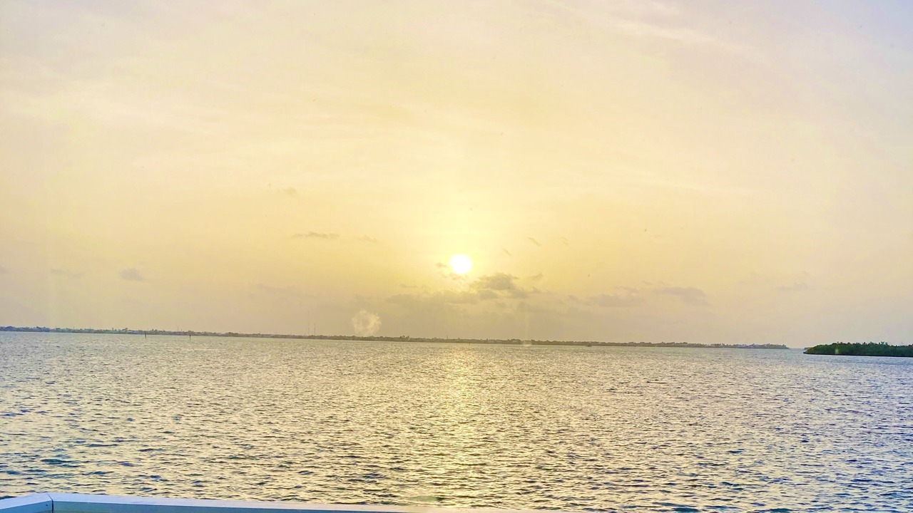 Photo of Outdoor in Cudjoe Key