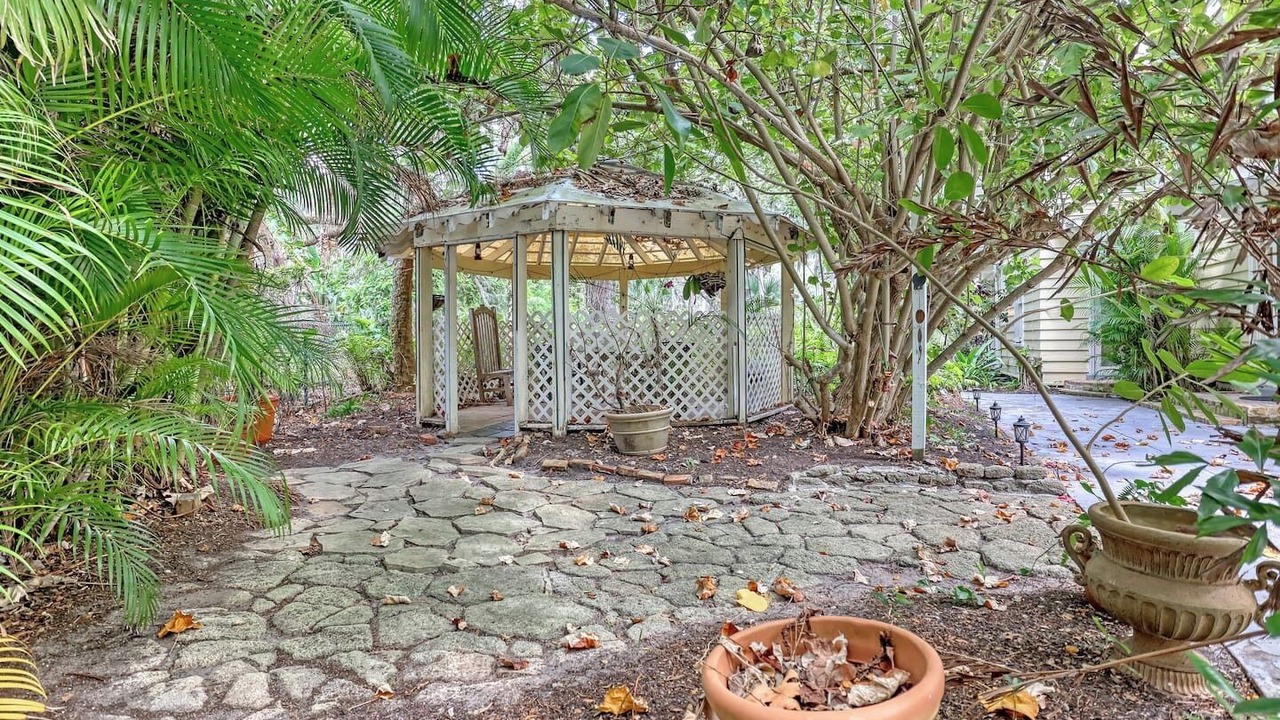Photo of Outdoor in Tropic