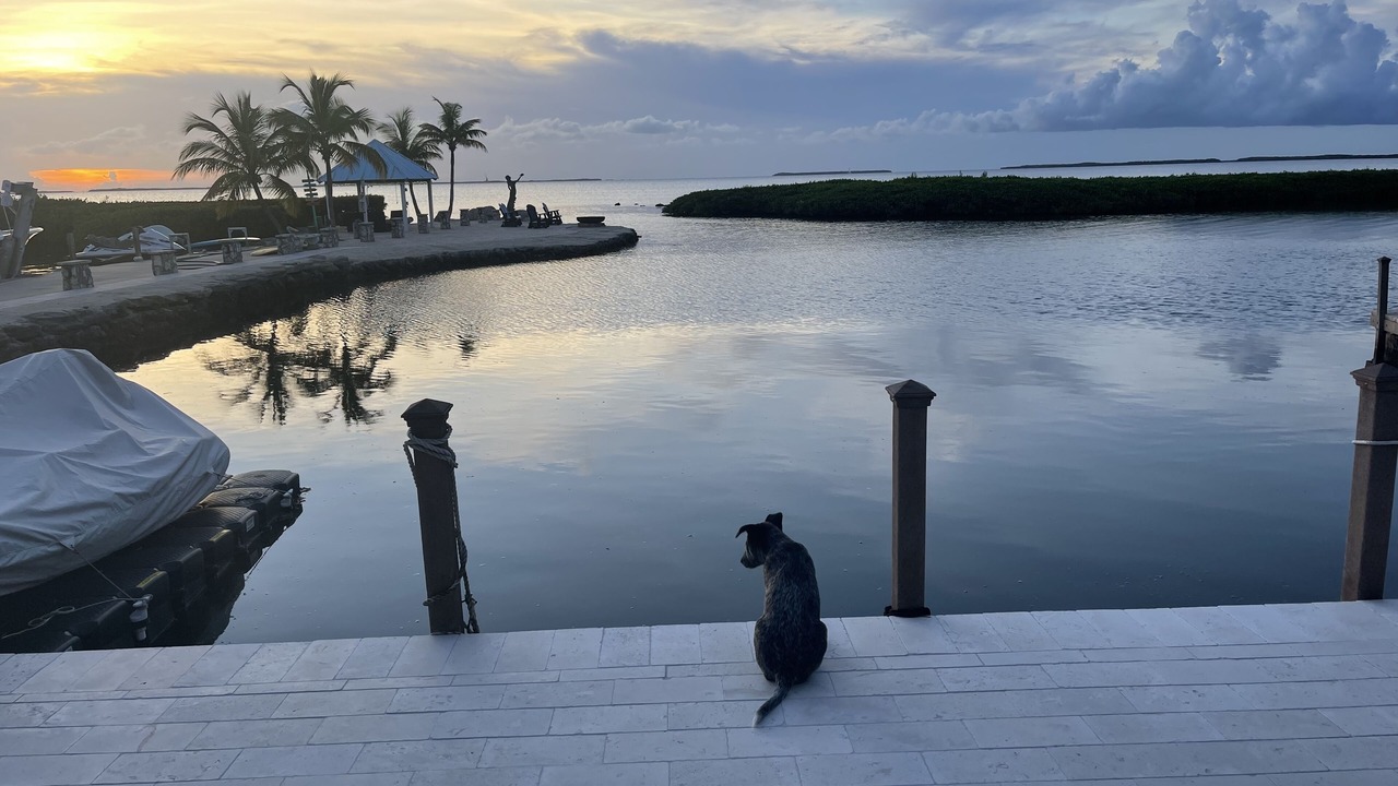 Photo of Outdoor in Sunset Cove