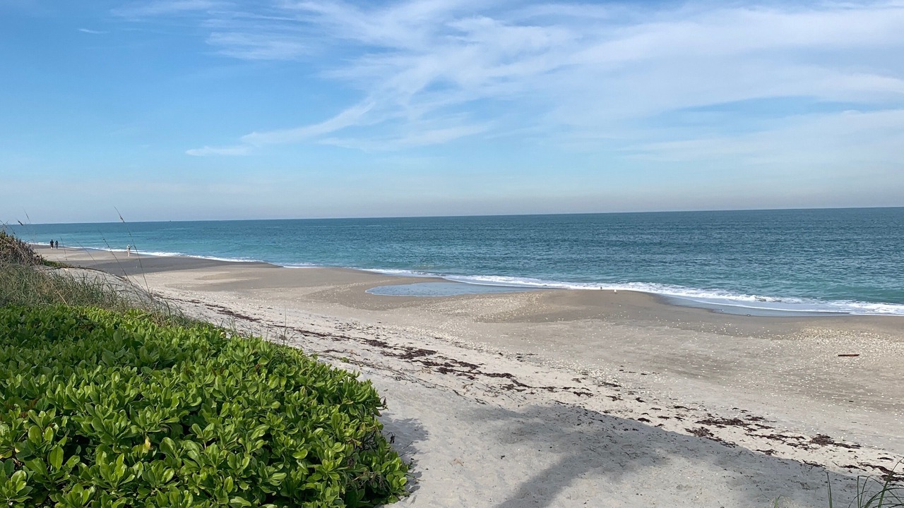 Photo of Others in Gulfstream Beach