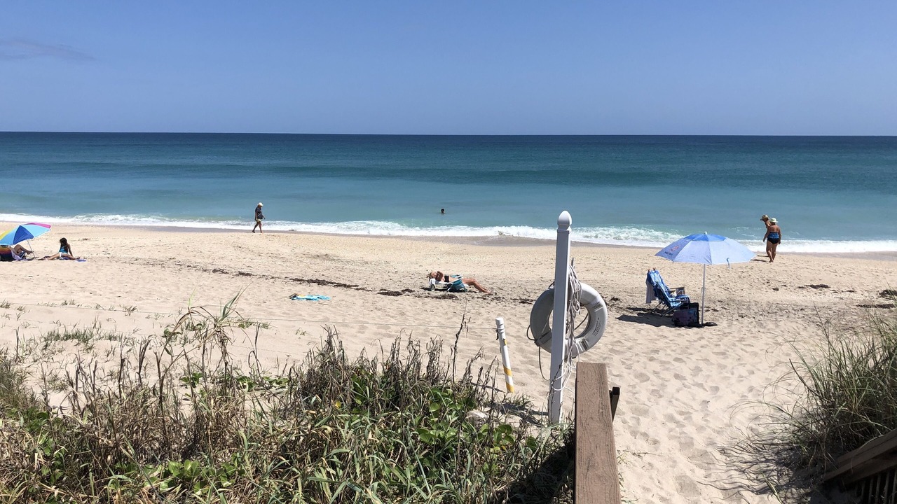 Photo of Others in Hutchinson Island South