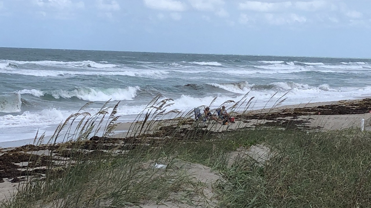 Photo of Others in Hutchinson Island South