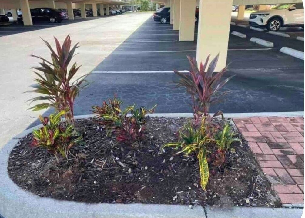Photo of Outdoor in Marco Island