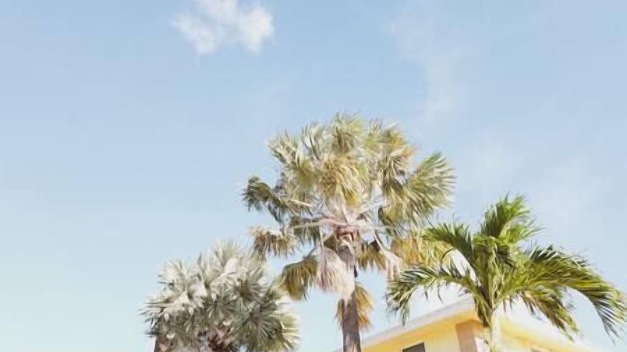 Photo of Others in Palm Beach Shores