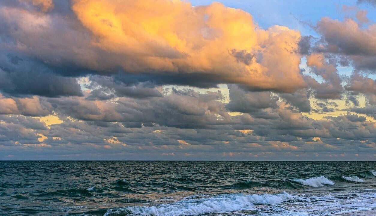 Photo of Others in Vero Beach South