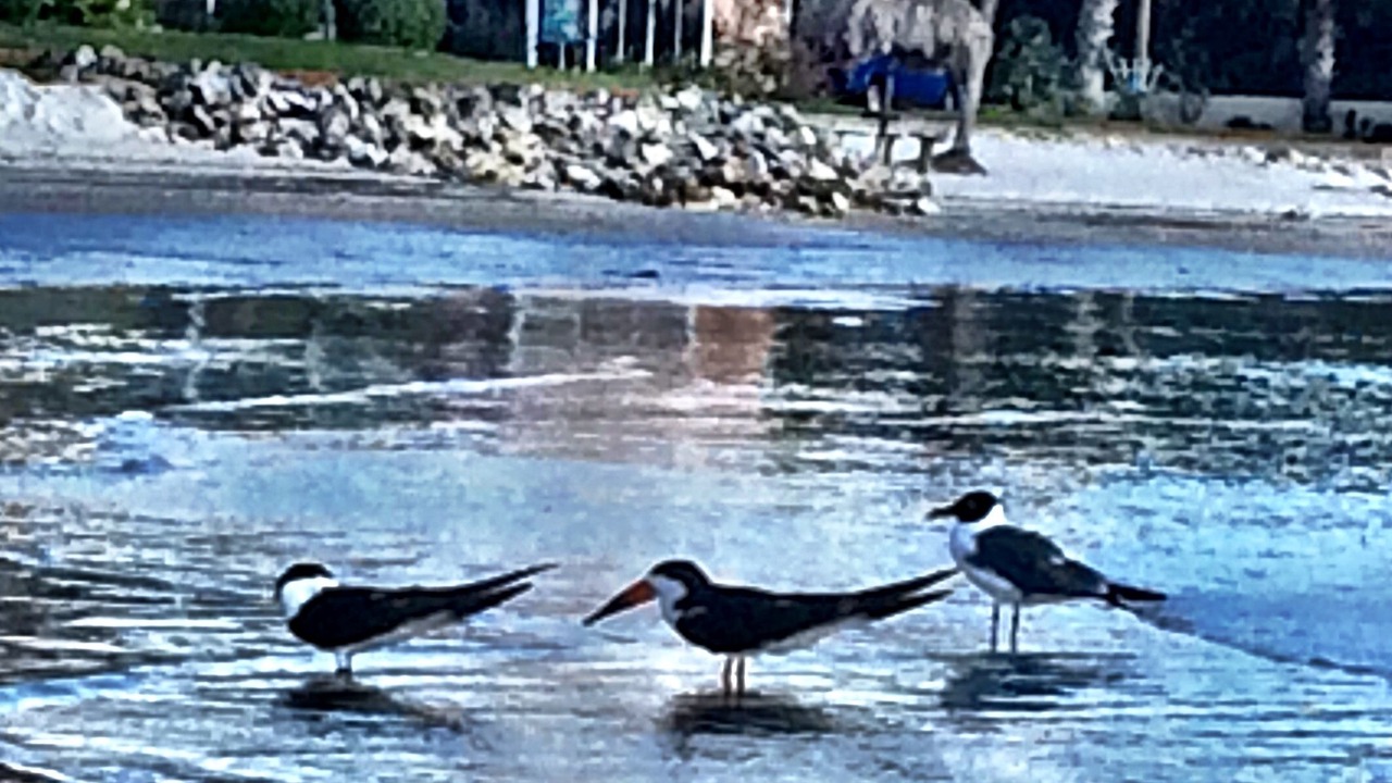Photo of Others in Bayview
