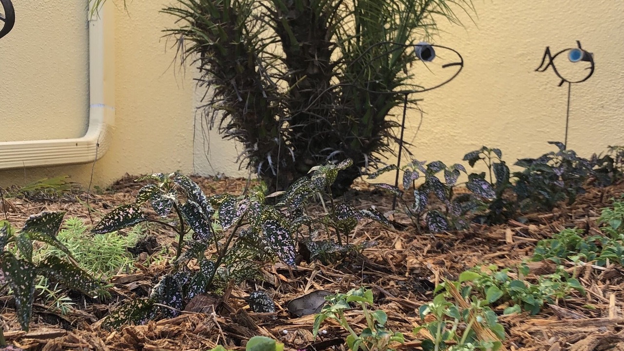 Photo of Outdoor in Bayview
