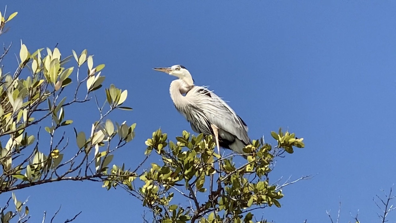 Photo of Outdoor in South Island