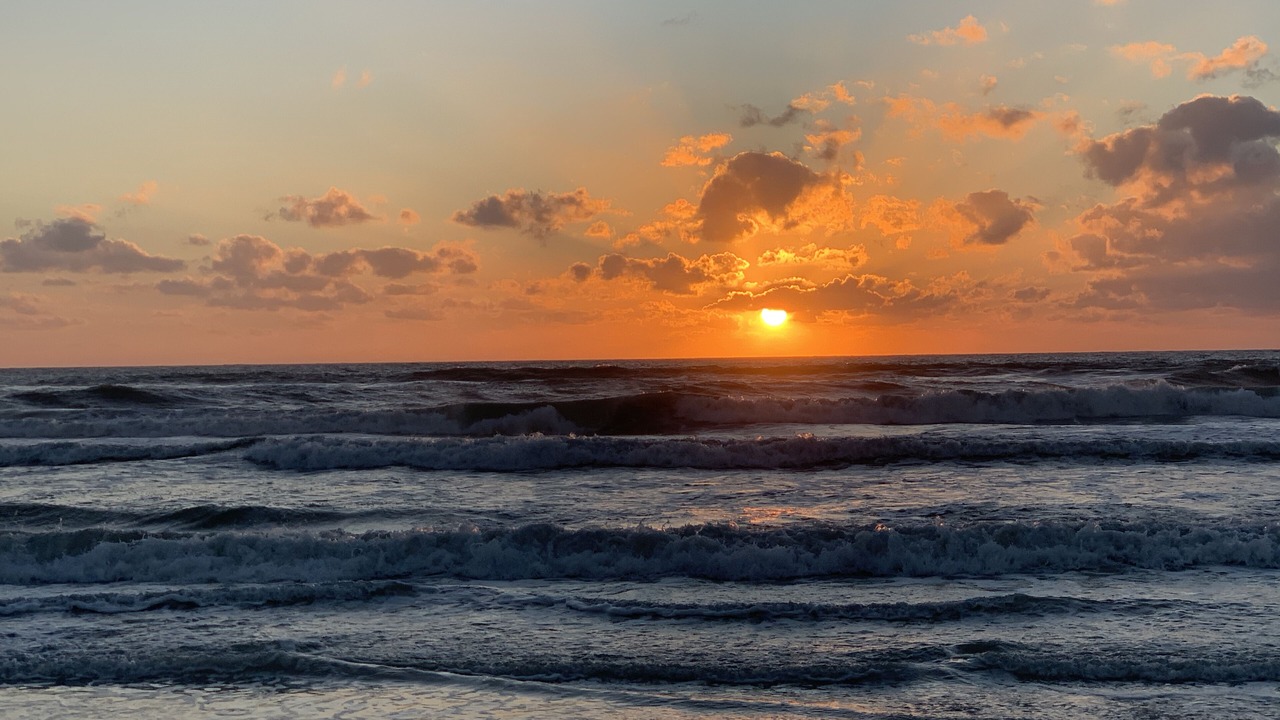 Photo of Others in Siesta Key