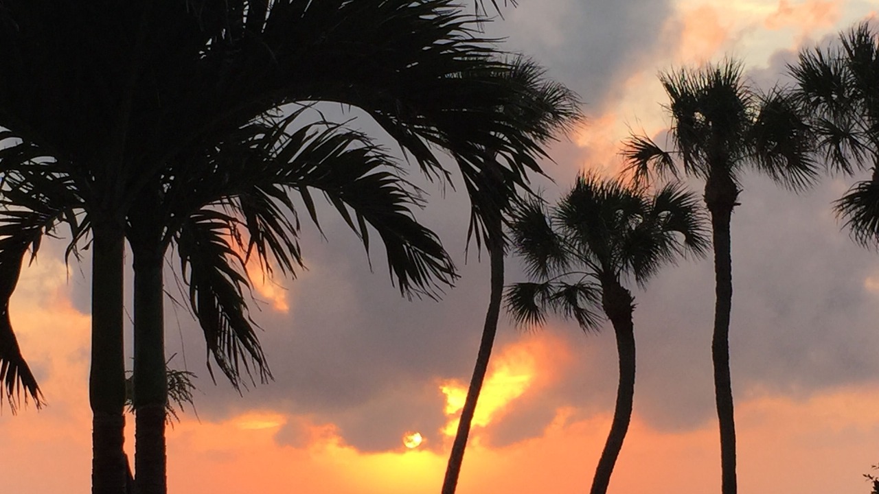 Photo of Others in Siesta Key