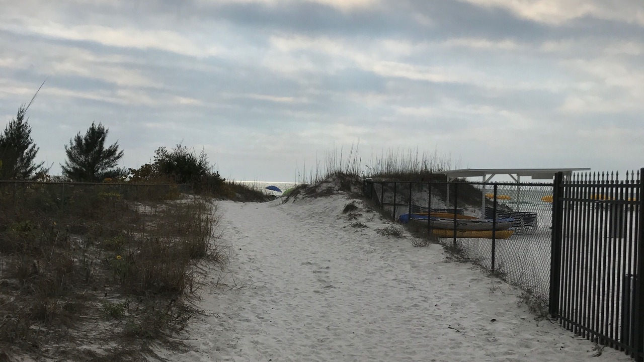 Photo of Others in Siesta Key