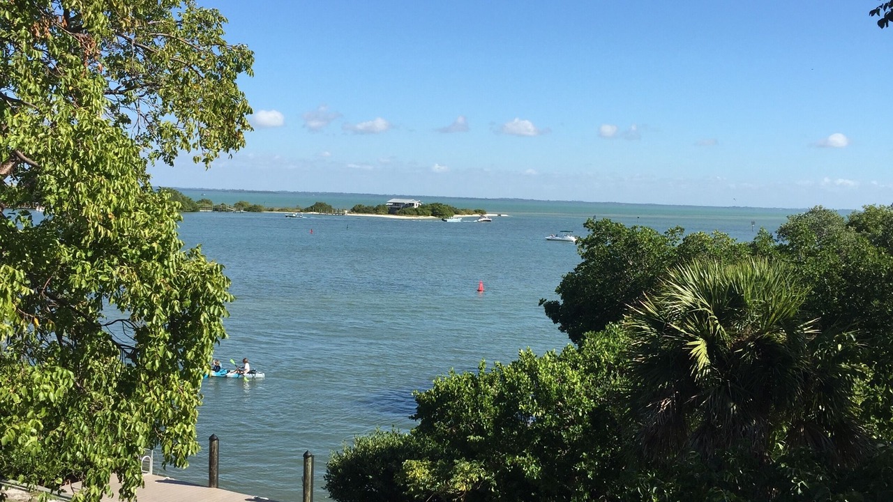 Photo of Others in Safety Harbor Club