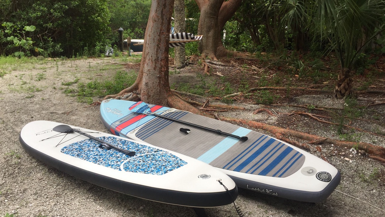 Photo of Outdoor in Safety Harbor Club