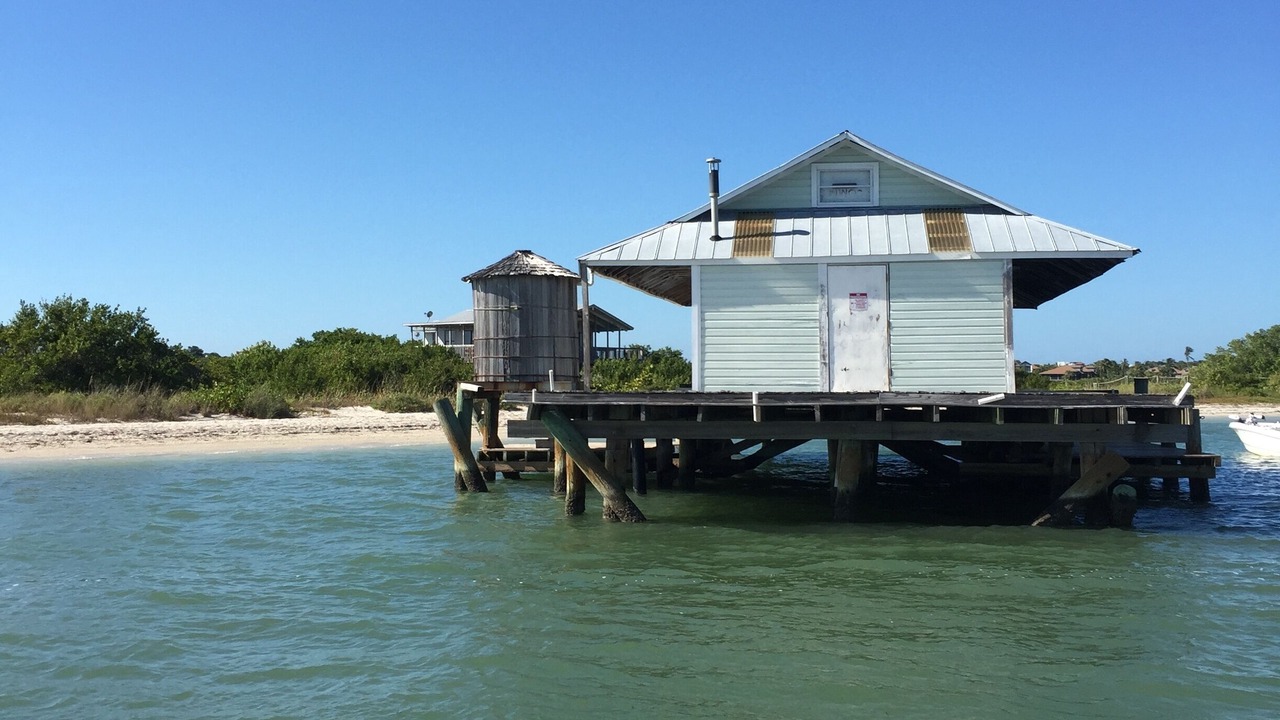 Photo of Outdoor in Safety Harbor Club